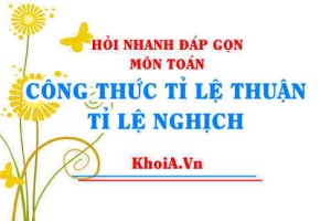 Công thức tỉ lệ thuận và tỉ lệ nghịch lớp 7, Ví dụ, Hỏi đáp Toán 7